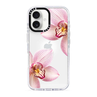 iPhone 17 / Standard