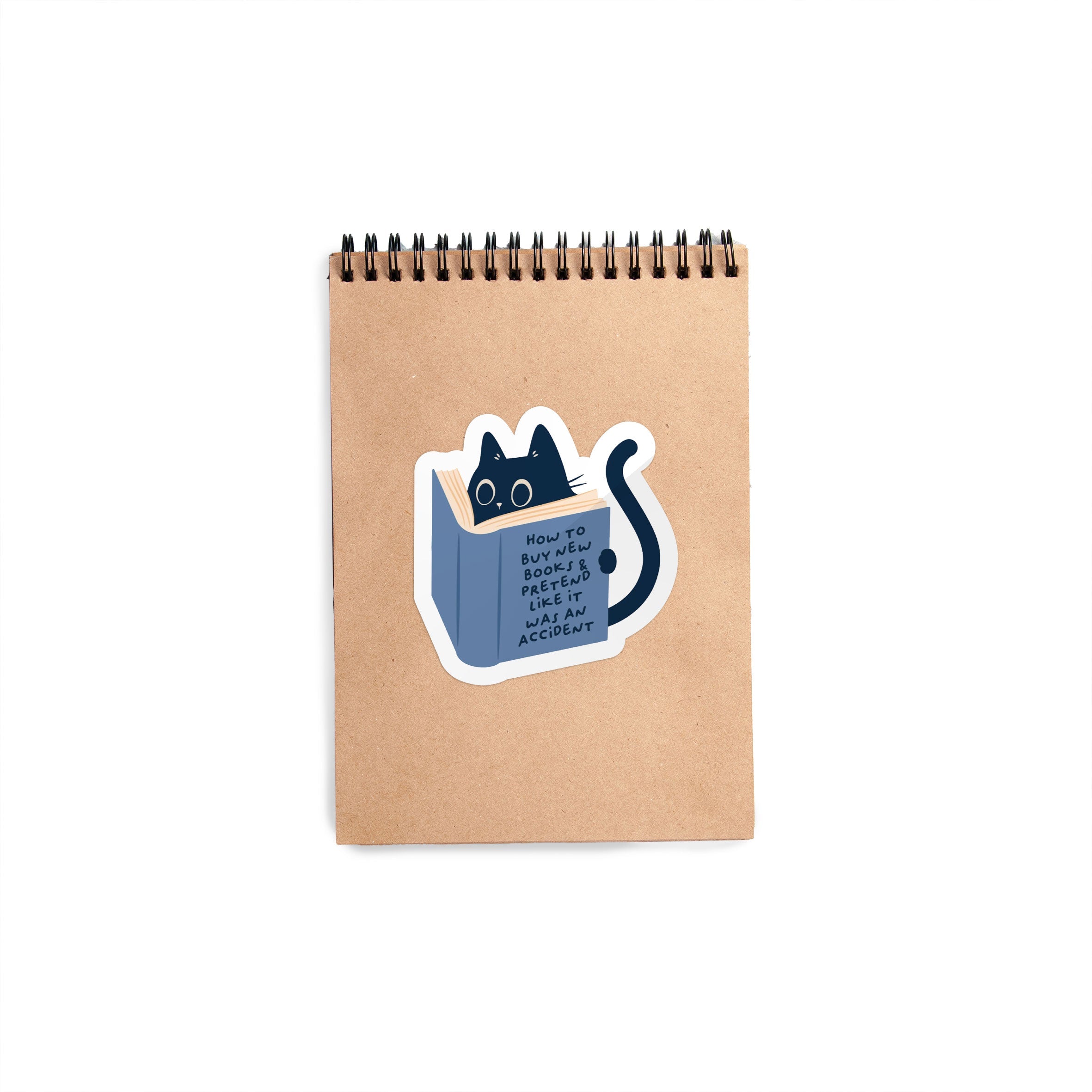 Reading Cat