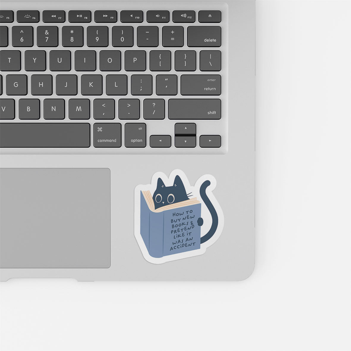 Reading Cat