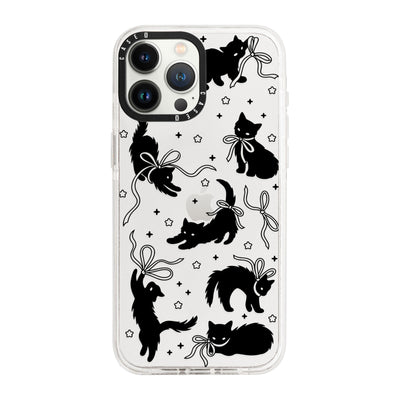 iPhone 13 Pro Max / Standard