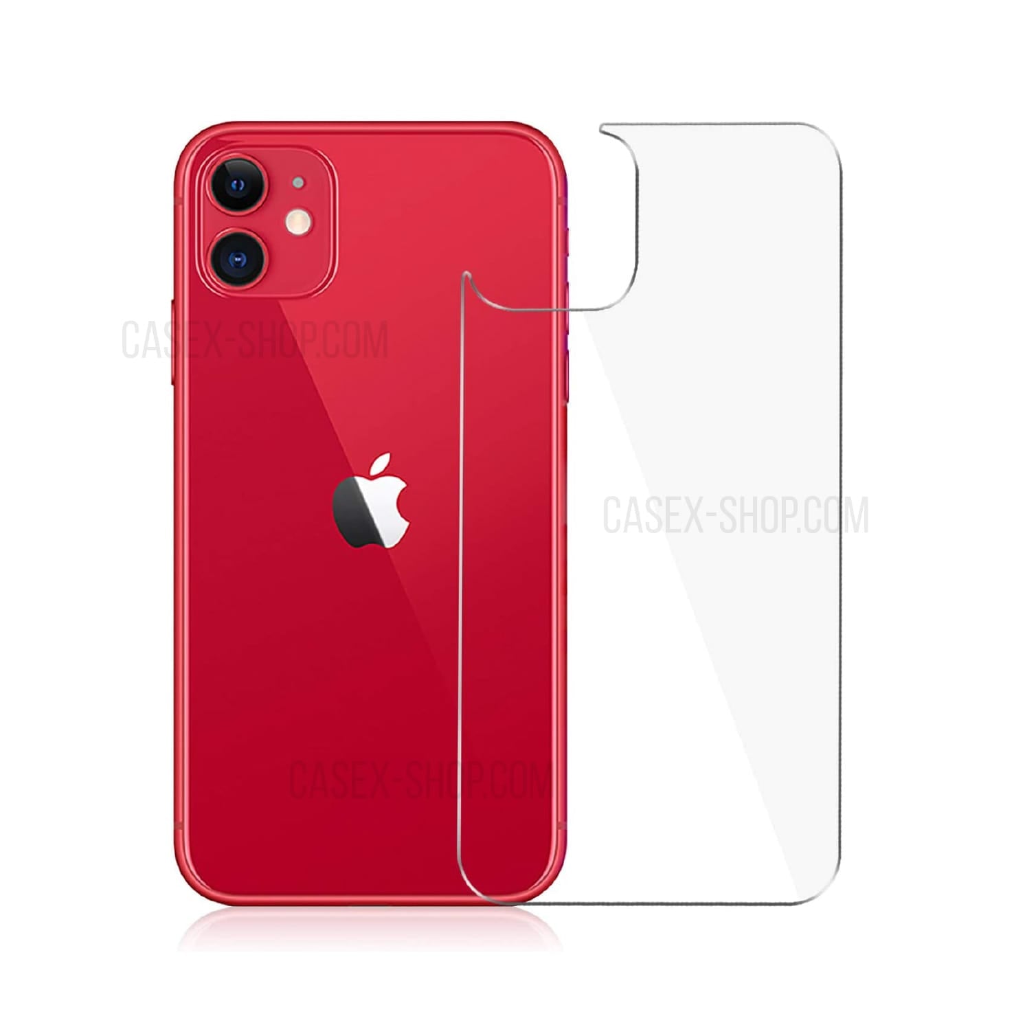 Glass Back Protector